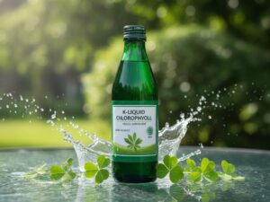 (90)SI024603051(91)220822